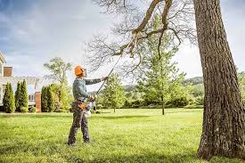  , USA Tree Removal Services Pros